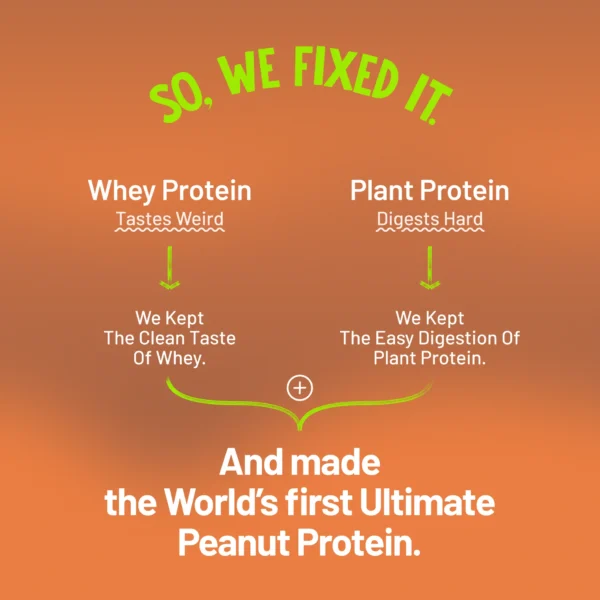 ALPINO SUPER NATURAL PEANUT PROTEINS POWDER - Image 14